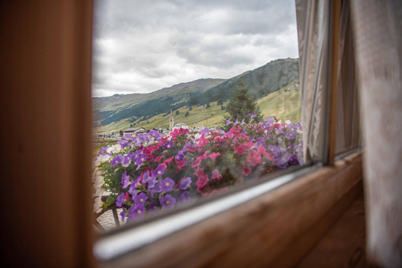 Family House Amalia Myholidaylivigno Esterno foto